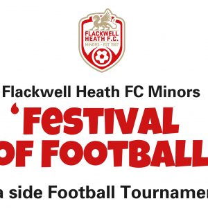 Flackwell Heath Minors