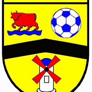 Logo for Chinnor Youth FC