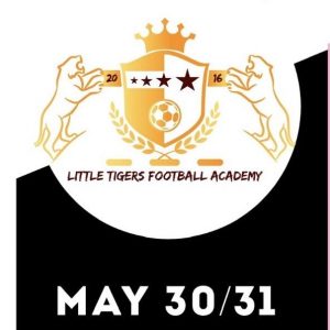 Little Tigers FA Champions Cup